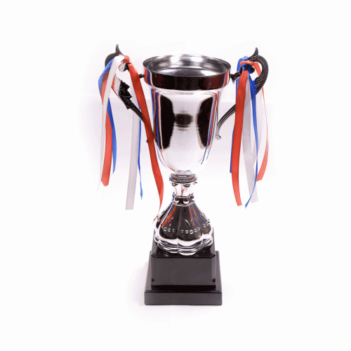 Trophée de la Coupe sport personnalisable trophée en résine